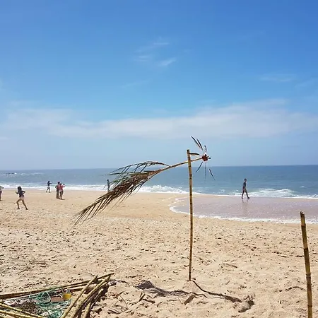 فيلة Pescaria نازاريه